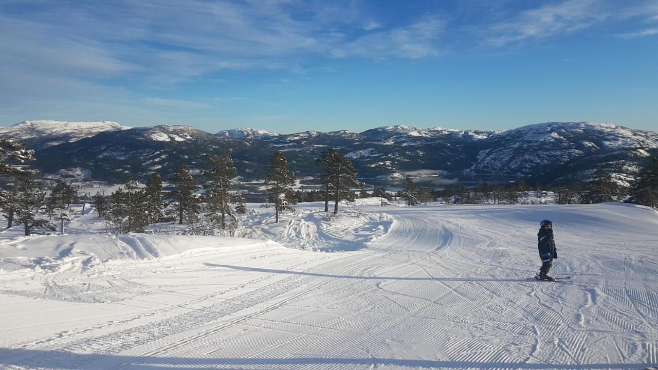 Vrådal Panorama - Tiuråsvegen 39 Villa Exteriör bild