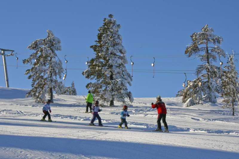 Vrådal Panorama - Tiuråsvegen 39 Villa Exteriör bild