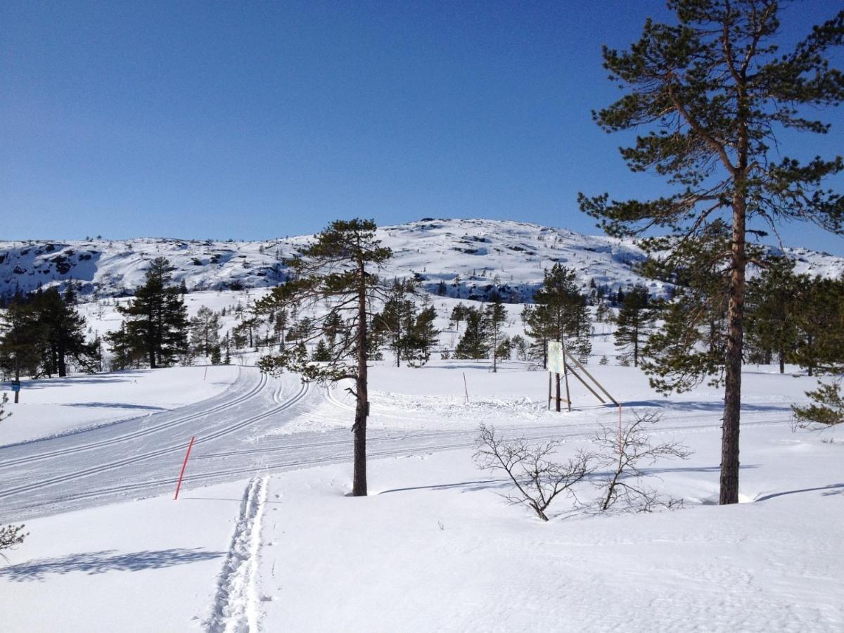 Vrådal Panorama - Tiuråsvegen 39 Villa Exteriör bild