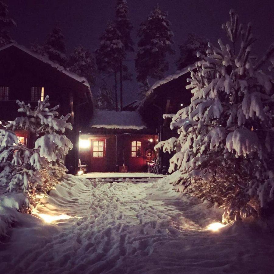 Vrådal Panorama - Tiuråsvegen 39 Villa Exteriör bild